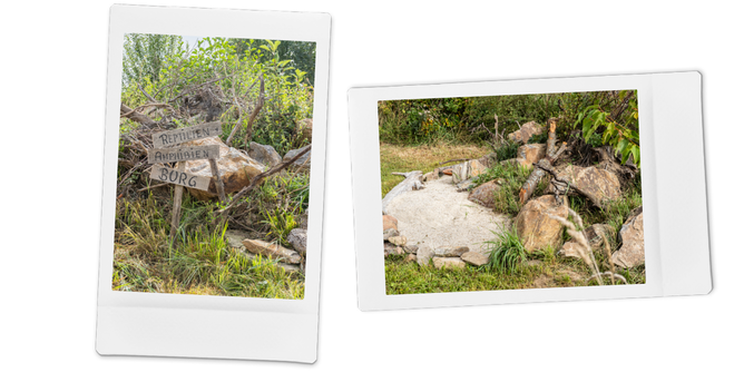 Reptilien- und Amphibienburg | © SONNENTOR